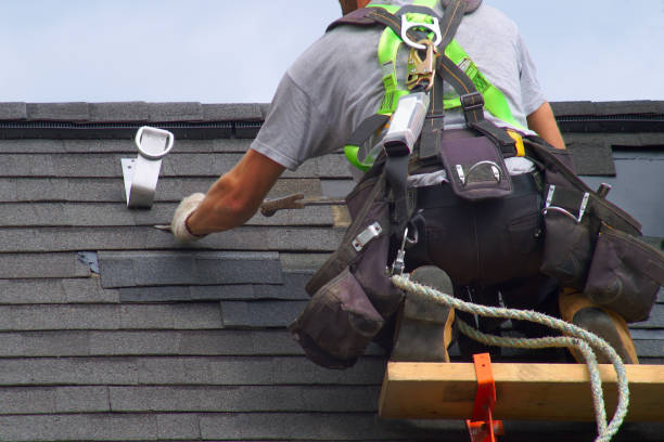 Best Roof Leak Repair  in Wrangell, AK