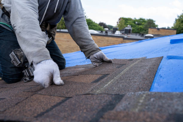Best Sheet Metal Roofing  in Wrangell, AK