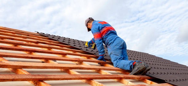 Best Metal Roofing Installation  in Wrangell, AK