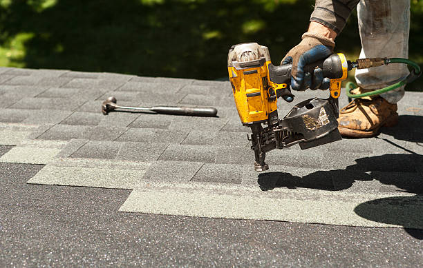 Best Roof Moss and Algae Removal  in Wrangell, AK