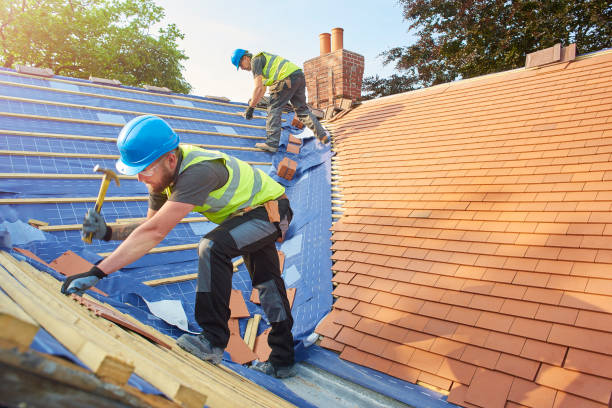 Best Roof Ventilation Installation  in Wrangell, AK